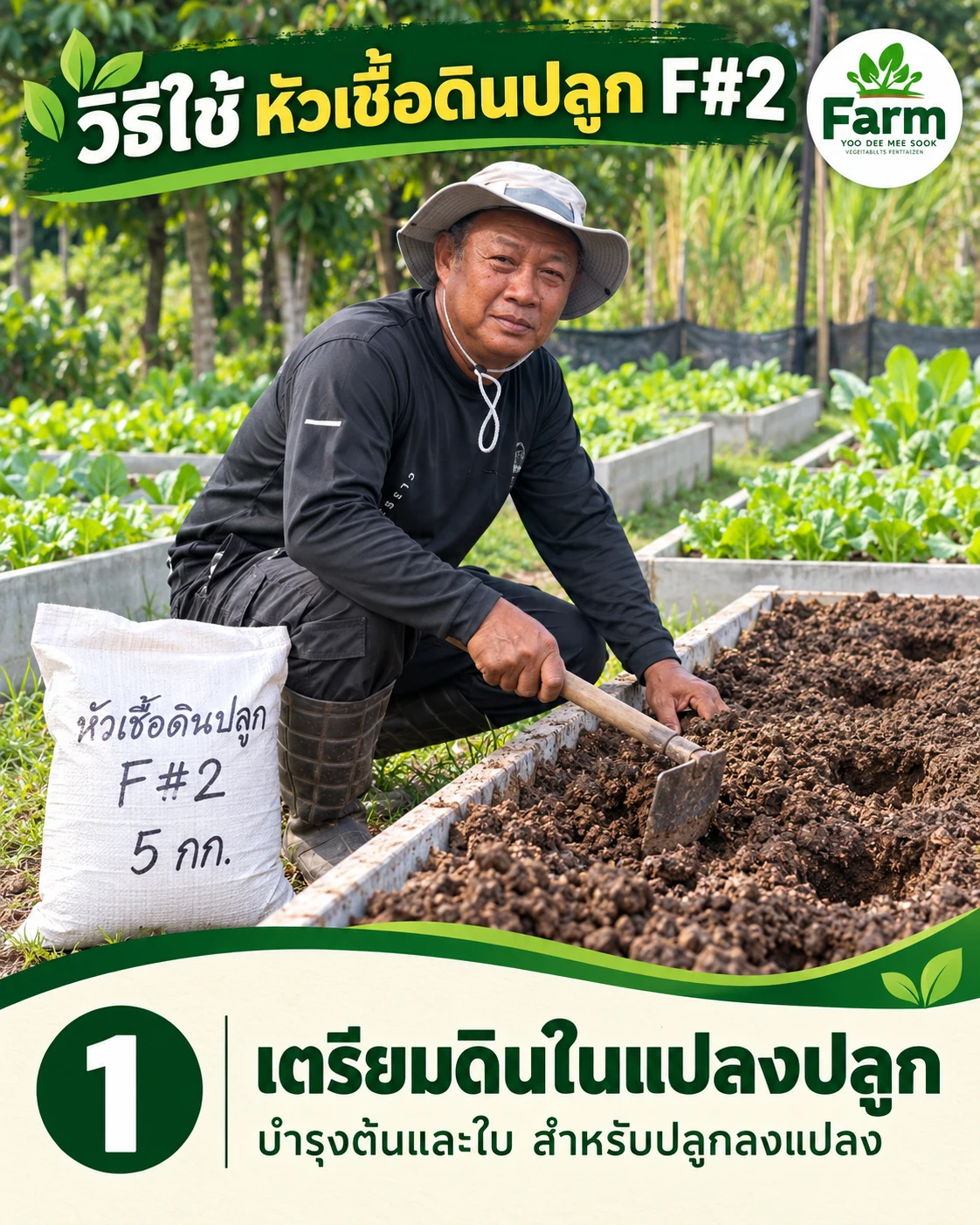 ขั้นตอนที่ 1 เตรียมดินในแปลงปลูก