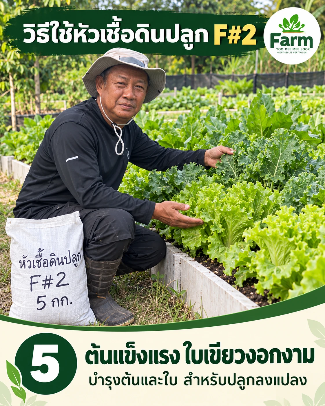 ขั้นตอนที่ 5 ดูแลต้นและใบให้เติบโตต่อเนื่อง