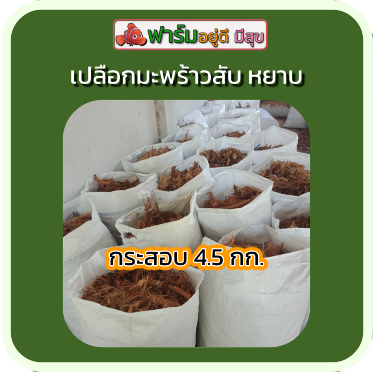 My Image 31
