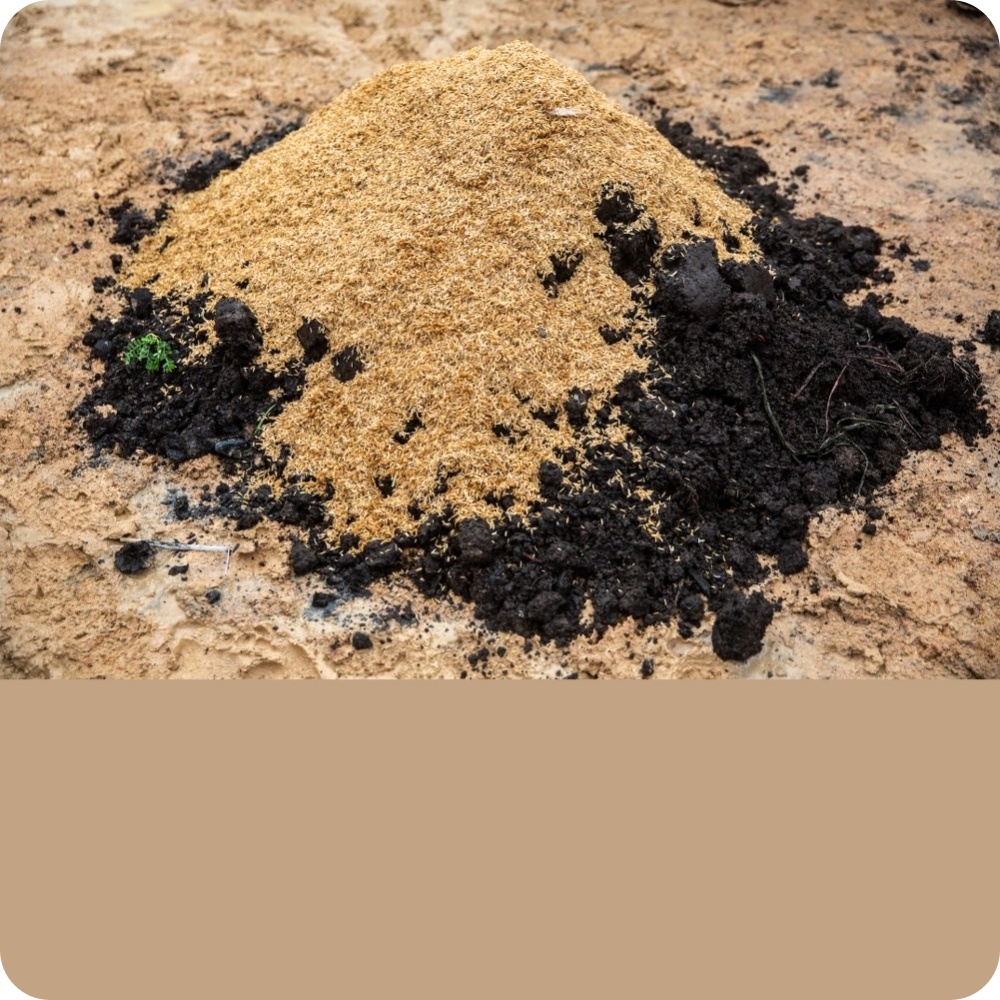 ดินปลูกต้นไม้