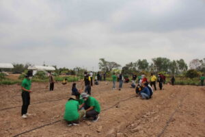 ชาวนากาฬสินธุ์หันปลูกกระท่อม