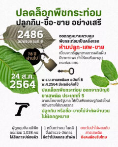 ปลดล็อค กระท่อม