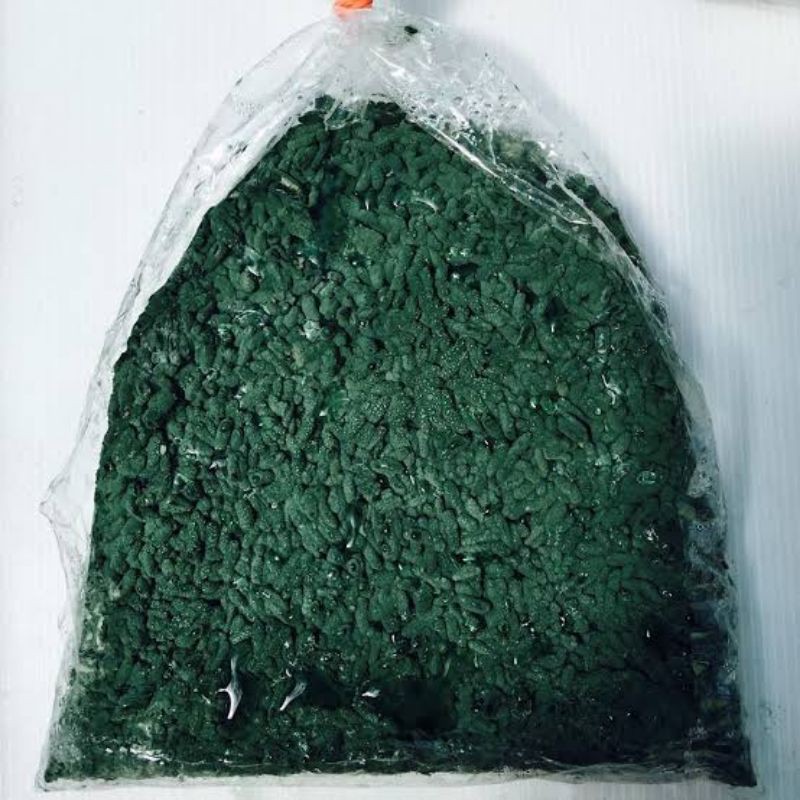 ไตรโคเดอร์มา