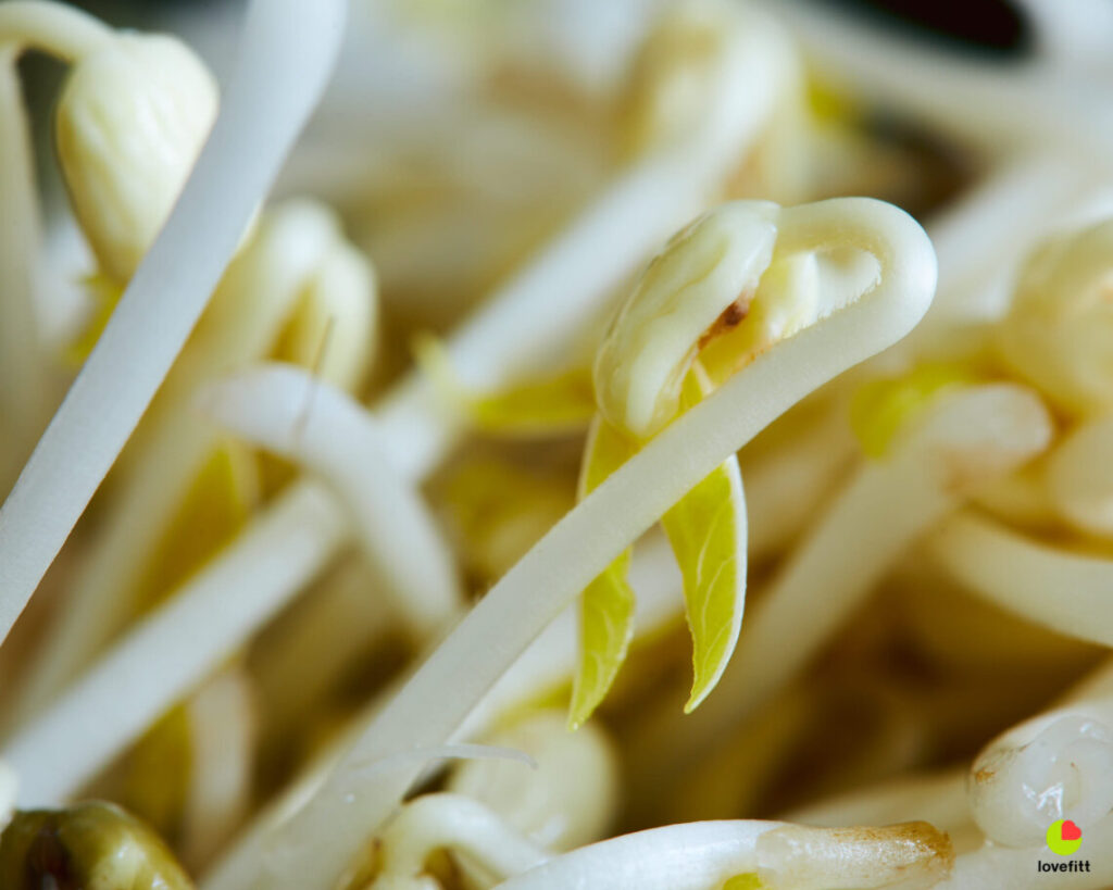 ปลูกถั่วงอกกินเอง ไม่เสี่ยงสารพิษ