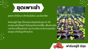 เรื่องน่ารู้ 1 เป็นชุดเพาะชำที่หวังผลได้เกือบ 100% แตกต่างจากการซื้อดินปลูกมาเพาะชำเอง เพราะดินปลูกส่วนใหญ่มีส่วนผสมที่ไม่จำเป็นในการเพาะชำและไม่มีสิ่งที่จำเป็นผสมมาด้วย