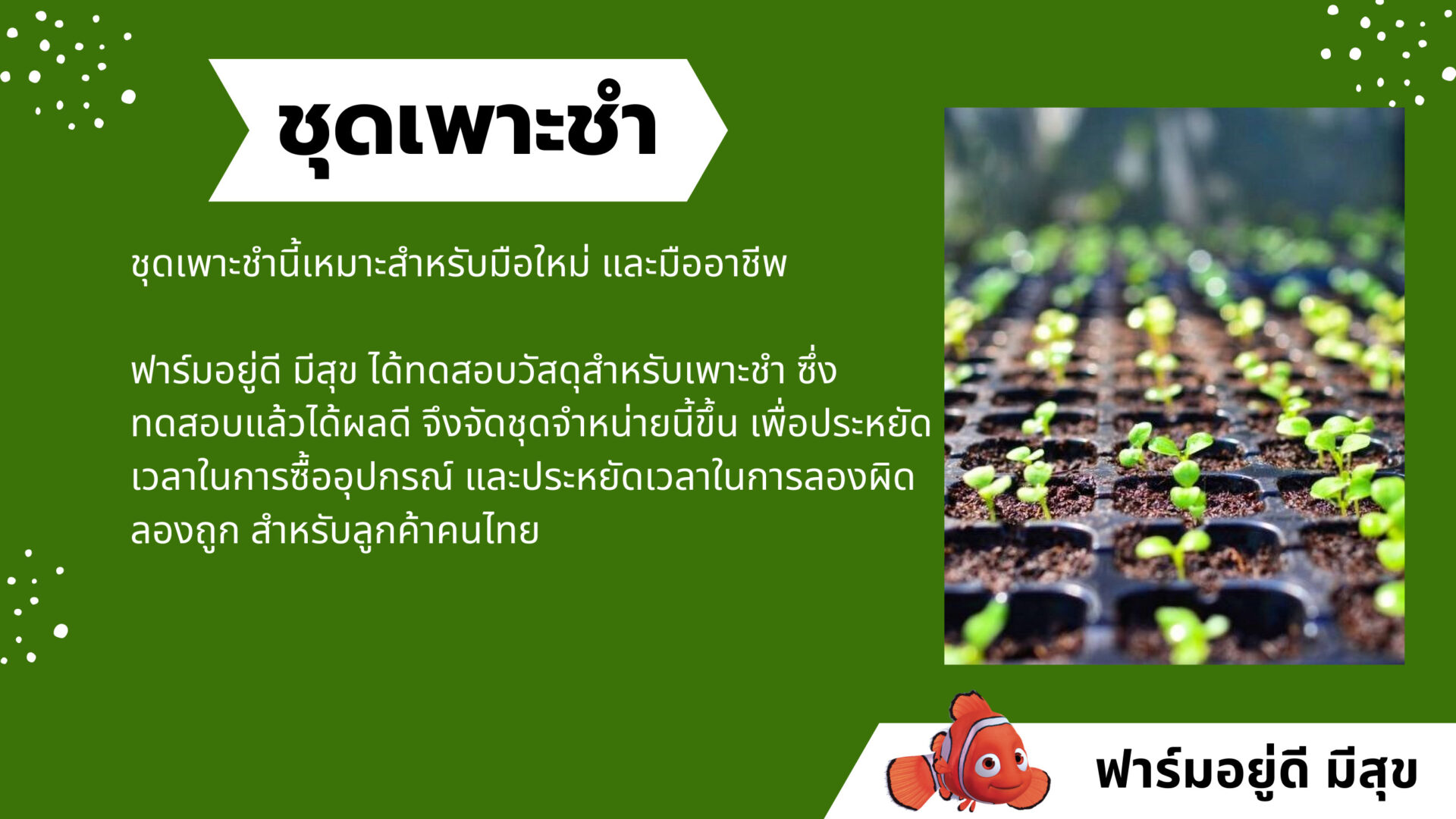ชุดเพาะชำ ของฟาร์มอยู่ดี มีสุข เป็นชุดเพาะชำที่หวังผลได้เกือบ 100% แตกต่างจากการซื้อดินปลูกมาเพาะชำเอง เพราะดินปลูกส่วนใหญ่มีส่วนผสมที่ไม่จำเป็นในการเพาะชำและไม่มีสิ่งที่จำเป็นผสมมาด้วย