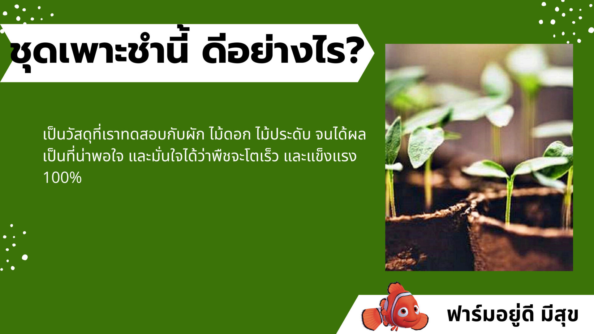 ชุดเพาะชำ ของฟาร์มอยู่ดี มีสุข เป็นชุดเพาะชำที่หวังผลได้เกือบ 100% แตกต่างจากการซื้อดินปลูกมาเพาะชำเอง เพราะดินปลูกส่วนใหญ่มีส่วนผสมที่ไม่จำเป็นในการเพาะชำและไม่มีสิ่งที่จำเป็นผสมมาด้วย