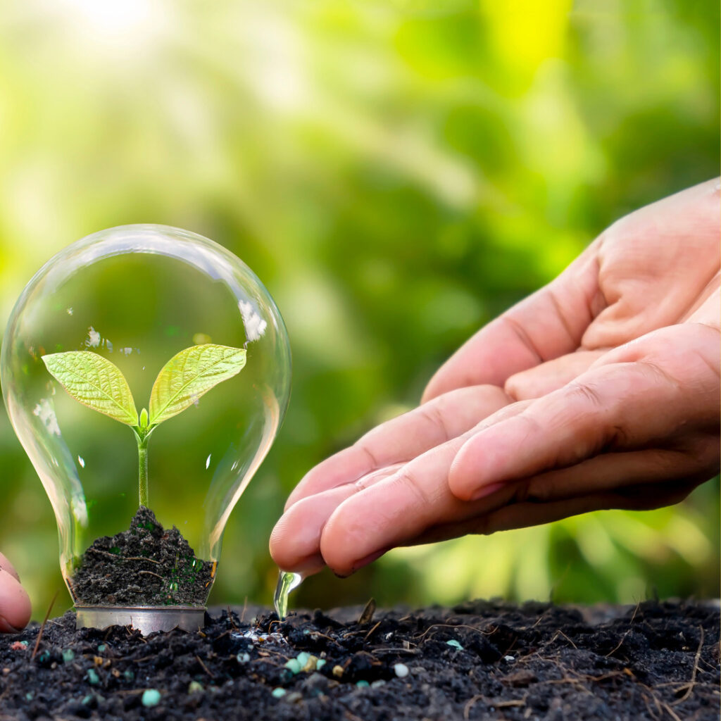 ปลูกต้นไม้ให้โตเร็วต้องใช้วัสดุปลูกที่ได้ผลจริง