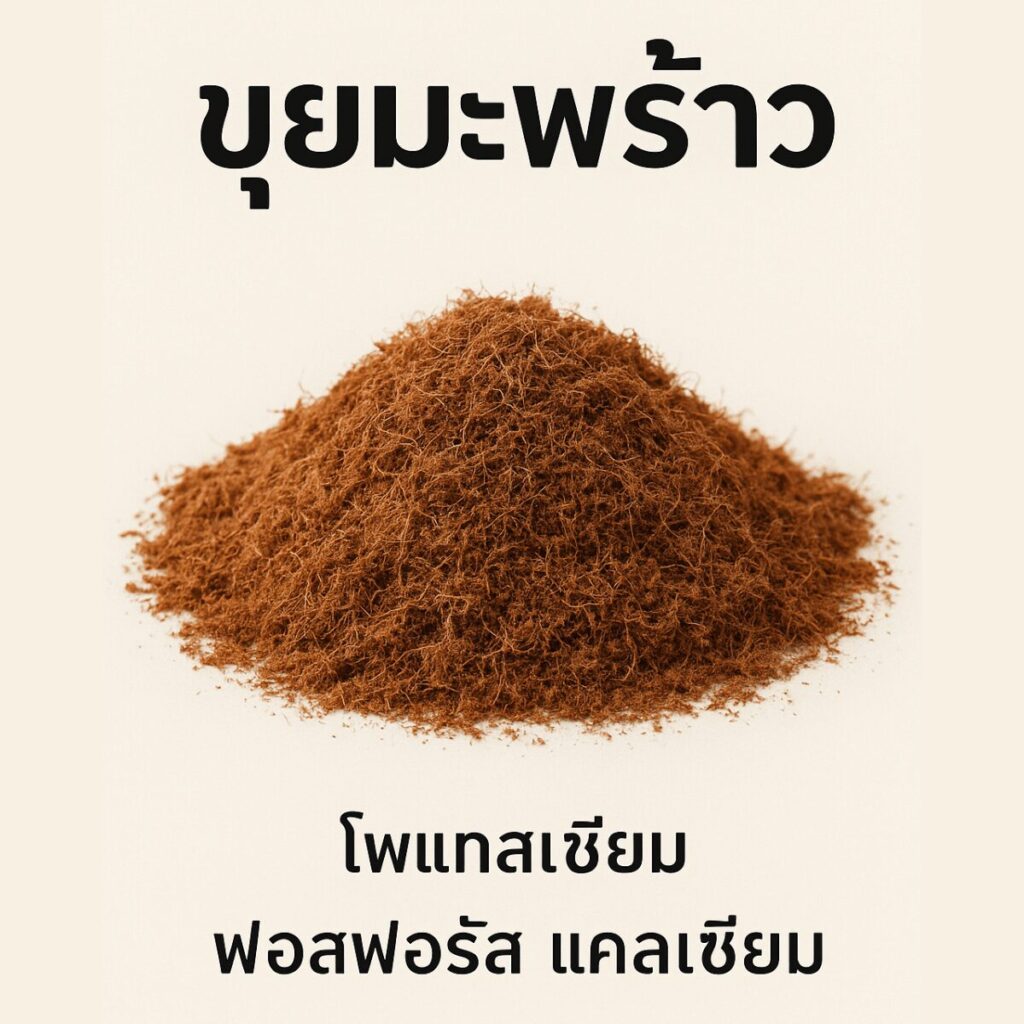 ดินชุ่มชื้น รากแข็งแรง ด้วย ขุยมะพร้าว คุณภาพจากฟาร์มอยู่ดี มีสุข