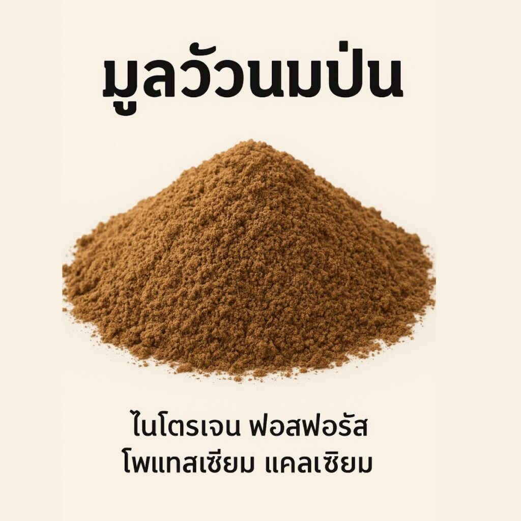 ปุ๋ยอินทรีย์ชั้นยอด! มูลวัวนมป่นละเอียด คุณภาพจากฟาร์มอยู่ดี มีสุข