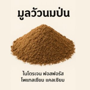 ปุ๋ยอินทรีย์ชั้นยอด! มูลวัวนมป่นละเอียด คุณภาพจากฟาร์มอยู่ดี มีสุข