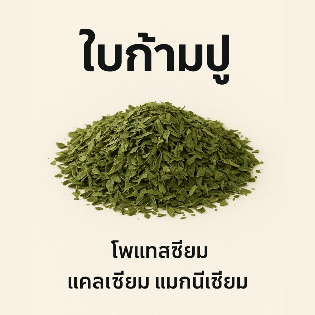 ดินดี พืชงาม ด้วย ใบก้ามปูผสมใบไม้อื่น สูตรพิเศษจากฟาร์มอยู่ดี มีสุข